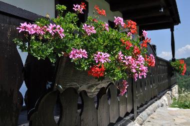 Casa de vacaciones en Brasov (Brasov)Casa de vacaciones