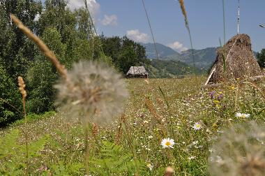 Casa de vacaciones en Brasov (Brasov)Casa de vacaciones