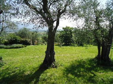 Casa de vacaciones en San Quirico di Moriano (Lucca)Casa de vacaciones