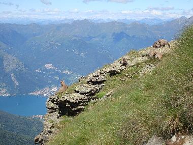 Casa de vacaciones en Sorico (Como)Casa de vacaciones