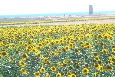 Casa de vacaciones en Zahora (Cdiz)Casa de vacaciones