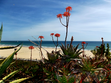 Apartamento de vacaciones en Portimao (Algarve)Casa de vacaciones
