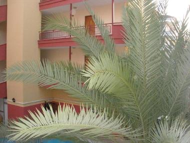 Apartamento de vacaciones en Alanya (Antalya)Casa de vacaciones