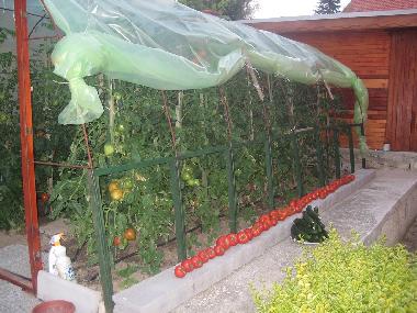 Villa en Varna (Varna)Casa de vacaciones