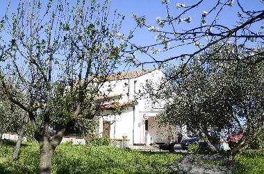 Apartamento de vacaciones en Piedimonte Etneo (Catania)Casa de vacaciones