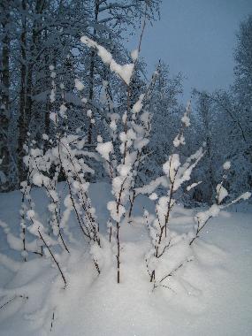 Casa de vacaciones en Rovaniemi (Lappi)Casa de vacaciones