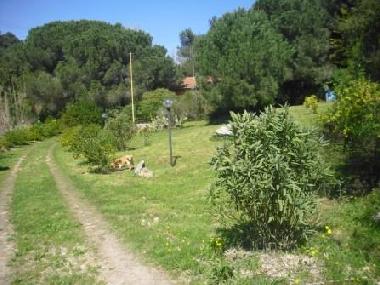 Villa en Porto Azzurro (Livorno)Casa de vacaciones