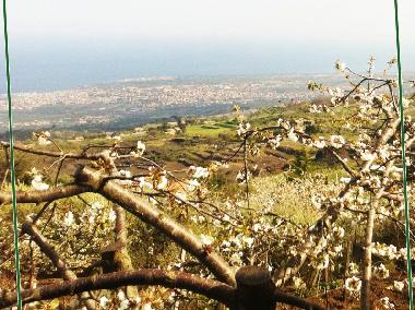 Casa de vacaciones en Montargano di Mascali (Catania)Casa de vacaciones