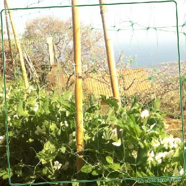 Casa de vacaciones en Montargano di Mascali (Catania)Casa de vacaciones