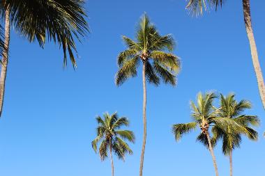 Apartamento de vacaciones en Porters (Saint James)Casa de vacaciones