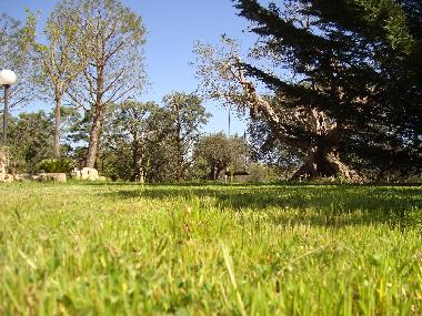 Casa de vacaciones en Castellana Grotte (Bari)Casa de vacaciones