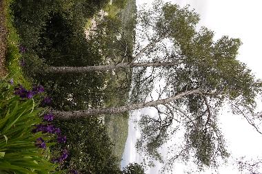 Apartamento de vacaciones en villeneuve loubet (Alpes-Maritimes)Casa de vacaciones