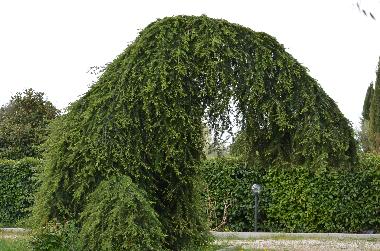 Casa de vacaciones en Capranica (Viterbo)Casa de vacaciones