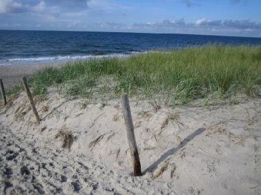 Apartamento de vacaciones en Graal-Mritz (Fischland-Dar-Zingst)Casa de vacaciones