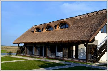 Cama y desayuno en Dunavatu de Jos (Tulcea)Casa de vacaciones