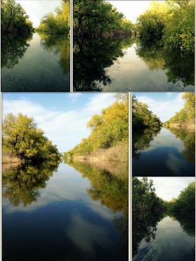 Cama y desayuno en Dunavatu de Jos (Tulcea)Casa de vacaciones