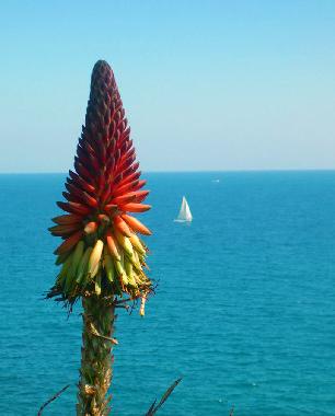 Casa de vacaciones en San Vito Lo Capo ( TP ) (Trapani)Casa de vacaciones