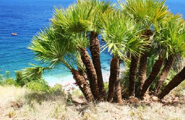 Casa de vacaciones en San Vito Lo Capo ( TP ) (Trapani)Casa de vacaciones