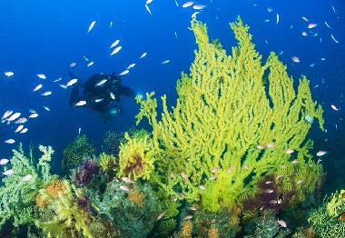 Casa de vacaciones en San Vito Lo Capo ( TP ) (Trapani)Casa de vacaciones