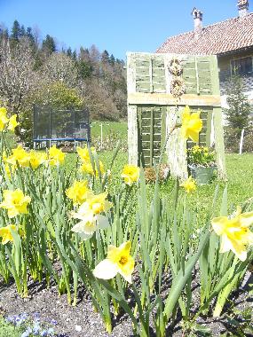 Apartamento de vacaciones en Langen bei Bregenz (Rheintal-Bodenseegebiet)Casa de vacaciones