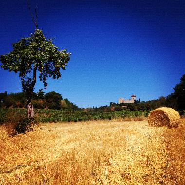 Casa de vacaciones en localit Ciliegi (Firenze)Casa de vacaciones