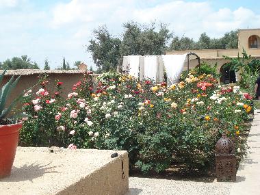 Villa en Taroudannt (Taroudannt)Casa de vacaciones