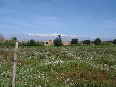 Villa en Taroudannt (Taroudannt)Casa de vacaciones