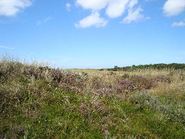 Casa de vacaciones en Toftum,Rm (Sonderjylland)Casa de vacaciones