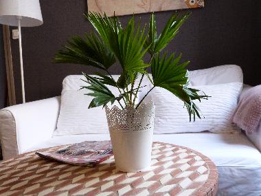 Apartamento de vacaciones en DIJON (Cte-d