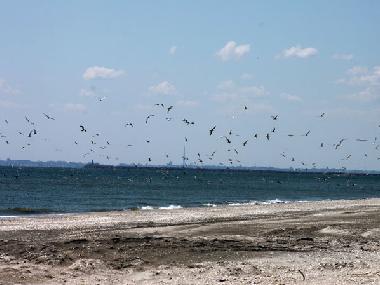 Casa de vacaciones en Mamaia Nord (Constanta)Casa de vacaciones
