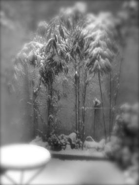 Apartamento de vacaciones en Antwerp (Flandes)Casa de vacaciones