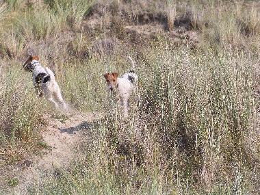 Casa de vacaciones en Lindbergh-Plage (Manche)Casa de vacaciones