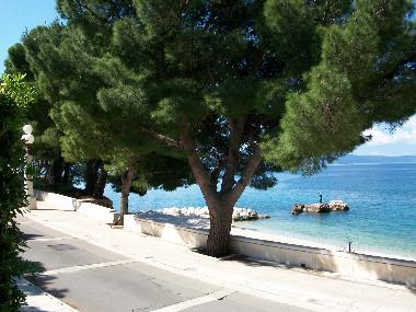 Apartamento de vacaciones en Podgora (Splitsko-Dalmatinska)Casa de vacaciones