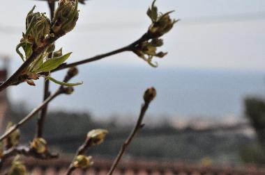 Casa de vacaciones en Lloret de Mar (Girona)Casa de vacaciones