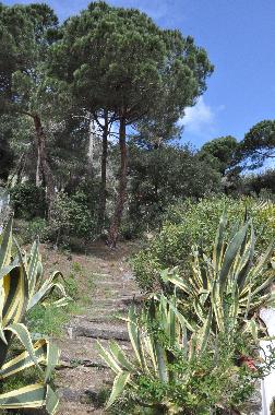 Casa de vacaciones en Lloret de Mar (Girona)Casa de vacaciones