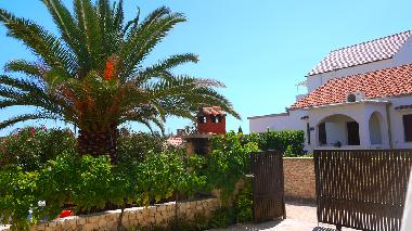 Apartamento de vacaciones en sevid (Splitsko-Dalmatinska)Casa de vacaciones