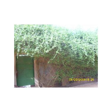 Casa de vacaciones en Adidogom� (Lome)Casa de vacaciones