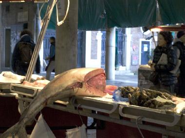 Apartamento de vacaciones en Venezia (Venezia)Casa de vacaciones