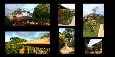 Cama y desayuno en Panica (Puntarenas)Casa de vacaciones