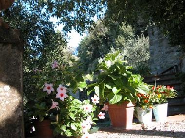 Apartamento de vacaciones en Fiesole (Firenze)Casa de vacaciones