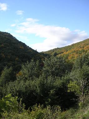 Casa de vacaciones en Cassagnoles (Hrault)Casa de vacaciones