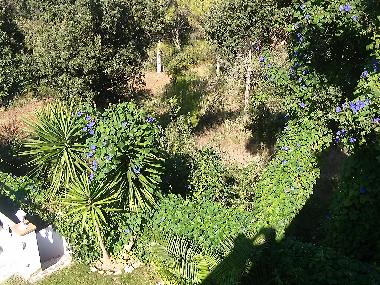 Casa de vacaciones en Pals (Girona)Casa de vacaciones