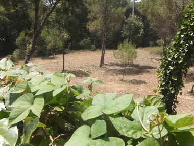 Casa de vacaciones en Pals (Girona)Casa de vacaciones