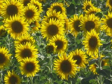 Apartamento de vacaciones en orvieto (Terni)Casa de vacaciones