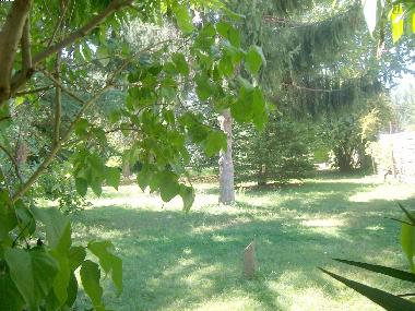 Casa de vacaciones en Gaillac-Toulza (Haute-Garonne)Casa de vacaciones