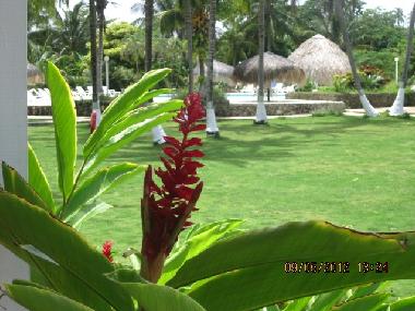 VISTA A PISCINA DESDE HALL
