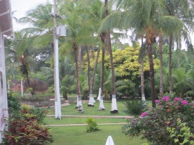 JARDINES  INTERIORES