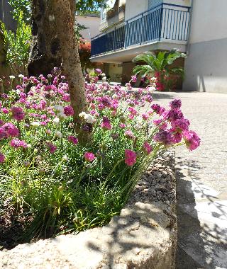 Apartamento de vacaciones en Scauri (Latina)Casa de vacaciones