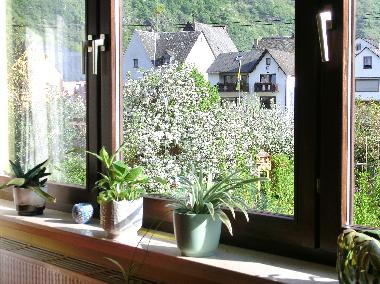 Apartamento de vacaciones en Burgen (Mosel - Saar)Casa de vacaciones