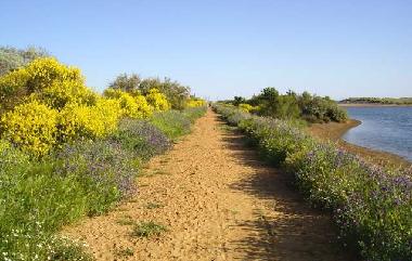 Casa de vacaciones en Portiragnes Plage (Hrault)Casa de vacaciones